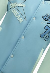 Local Fanatic Bomberjacks - blauw