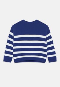 Maglione a righe blu e bianche, tessuto lavorato a maglia, colletto rotondo, maniche lunghe, righe diagonali, polsini e orlo a coste.