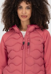 alife & kickin ARWEN - Veste d'hiver - astro dust