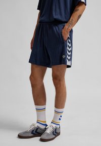 Marinblå shorts med vertikala ränder, elastisk midja, sidofickor och kontrasterande chevronmönster på sidan. Grå sneakers och randiga strumpor.