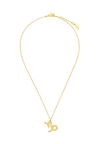 Złota naszyjnik z delikatnym łańcuchem. Ma zawieszkę z teksturowanym symbolem Koziorożca, zamocowaną za pomocą zapięcia typu homar i regulowanej długości.