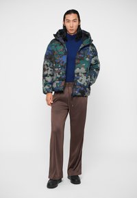EA7 Emporio Armani MOUNTAIN ECO HOODED JACKET GRAPHIC - Vinterjakke - multi-coloured