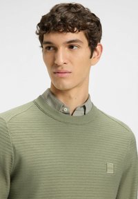 Jasnozielony sweter dzianinowy z okrągłym dekoltem, o teksturowanej powierzchni i małą naszywkę z logo. Noszony na jasnoszarej koszuli z kołnierzykiem.