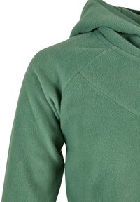 Felpa con cappuccio verde in pile, caratterizzata da una texture morbida, cappuccio arrotondato, maniche raglan e design senza cuciture sulle spalle.
