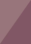 spiced plum dark purple