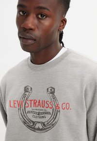 Szürke kapucnis pulcsi, nyomtatott patkó mintával és vastag, piros "LEVI STRAUSS & CO." felirattal, kerek nyakkal és texturált anyaggal.