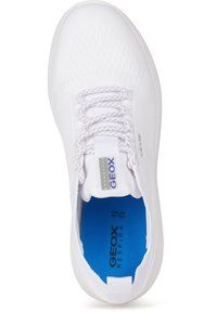 Hvit sneakers med pustevennlig mesh-overdel, strukturert finish og flate snørebånd. Har en blå såle med "GEOX RESPIRA" trykt innvendig.