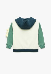 Felpa con cappuccio caratterizzata da un corpo verde pallido, cappuccio blu scuro e maniche verdi. Include un dettaglio a punte gialle sul retro. Materiale in misto cotone.