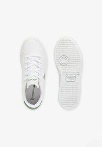 Lacoste CARNABY SET CHILDREN COURT LACE UNISEX - Zapatillas - blanc vert foncé r