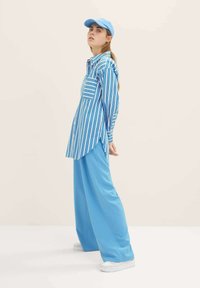 TOM TAILOR DENIM Overhemdblouse - vertical blue white stripe
