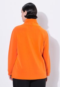 Pullover a maniche lunghe di un vivace arancione, con un colletto alto, vestibilità comoda e superficie liscia. Orlo leggermente curvato nella parte inferiore.