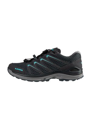 MEADOW GTX LO SL - Trail running shoes - graphit   arktis