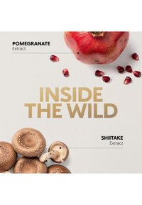 Grenade avec des graines éparpillées et un bouquet de champignons shiitake sur fond blanc, avec le texte « INSIDE THE WILD » en doré.