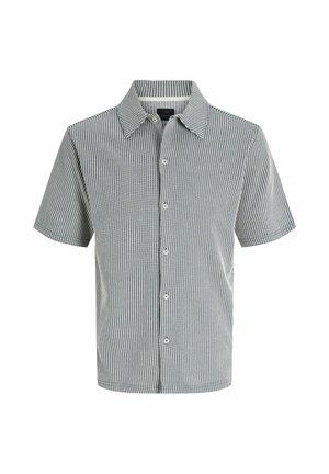 Chemise à manches courtes avec boutons, fines rayures verticales grises et blanches et col pointu.
