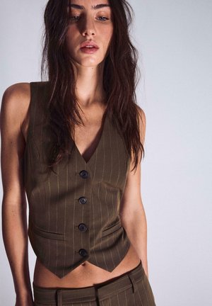 Femeie cu păr lung și închis la culoare, purtând un vestă maro în dungi cu nasturi mulată și pantaloni asortați, pe un fundal simplu.