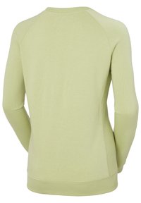 Suéter de color verde claro con mangas largas, cuello redondo y puños y dobladillo acanalados. Textura suave con un diseño ceñido.