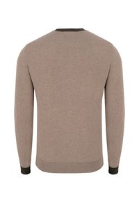 Beżowy sweter z okrągłym dekoltem i długimi rękawami. Posiada ciemnozieloną, prążkowaną plisę w kołnierzyku i mankietach, gładką strukturę oraz dopasowany krój.