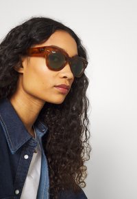 Ray-Ban STATE STREET - Óculos de sol - transparent/green