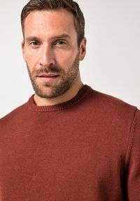 Rostfärgad stickad tröja med rund halsringning, strukturerat mönster och korta ärmar. Tyget ser mjukt och bekvämt ut.