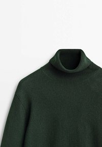 Pull à col roulé vert foncé en tissu tricoté ; doté d'un col côtelé et d'une texture lisse sans motifs ni ornements visibles.