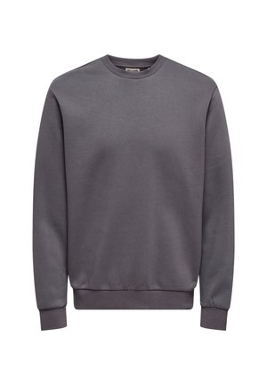 Gray crewneck sweatshirt made of fleece material with ribbed cuffs and hem. Plain design with no visible patterns or accents.