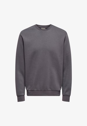 Pelēka sporta krekla ar apaļu kaklu izgatavots no flīsa materiāla, ar ribotām aprocēm un apakšmalu. Vienkāršs dizains bez redzamām krāsām vai akcentiem.