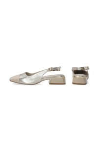 Beige and silver slingback shoes with a pointed toe and chunky heel, showcasing a sleek design and a metallic sheen.
