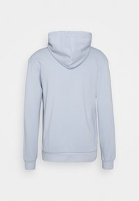 Ljusblå hoodie i mjuk bomullsblandning, med en bakvy som visar en rymlig huva och ribbade ärmslut och nederkant. Inga grafiska element synliga.