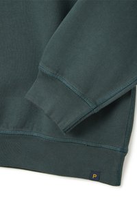 Felpa verde scuro con polsini e orlo a coste, con cuciture blu a contrasto. Un piccolo marchio quadrato con una "P" gialla è visibile.