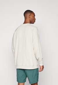 Light beige sweatshirt with a crew neck, long sleeves, and ribbed cuffs. Matched with teal shorts, showing a relaxed fit and soft texture.