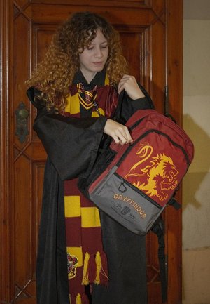 Karactermania HARRY POTTER FIGHT HIGH SCHOOL - Rucksack - red-grey
