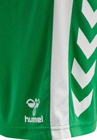 Maglia sportiva verde con pannelli laterali bianchi e motivo a spina di pesce. Presenta il logo "hummel" in bianco nell'angolo in basso a sinistra.