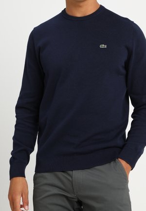 Homme portant un pull à manches longues bleu marine avec un petit logo crocodile vert sur la poitrine et un pantalon gris, une main dans la poche.