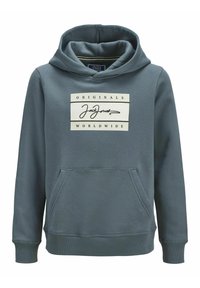 Hoodie i dämpad blågrå bomullsblandning. Har en framficka och en vit logotyp med svart text i rektangulärt mönster.