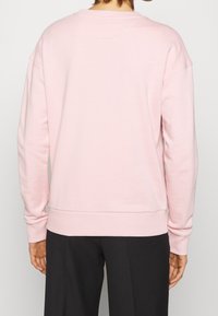 Sudadera rosa con un corte relajado, cuello redondeado y dobladillo y puños acanalados. Textura suave, detalles mínimos y sin patrones visibles.