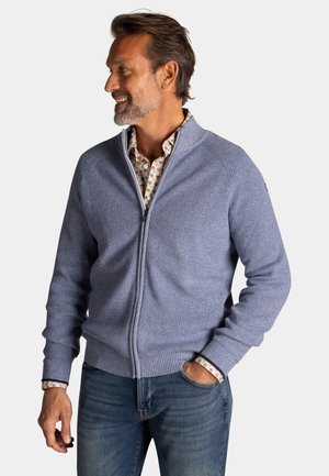 Man met baard, gekleed in een lichtblauwe sweater met rits over een geborduurd overhemd, glimlachend en naar links kijkend met één hand in zijn zak.