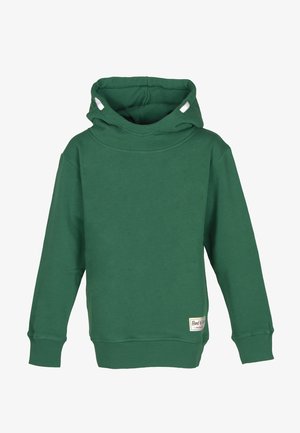 Felpa verde con cappuccio in tessuto morbido, caratterizzata da un colletto ripiegato, maniche lunghe, polsini a costine e una piccola etichetta del marchio all'orlo.