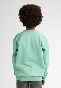 Sweatshirt vert menthe avec un col rond, des poignets et un ourlet côtelés. Texture douce, coupe décontractée, présentant un petit accent à l'ourlet.
