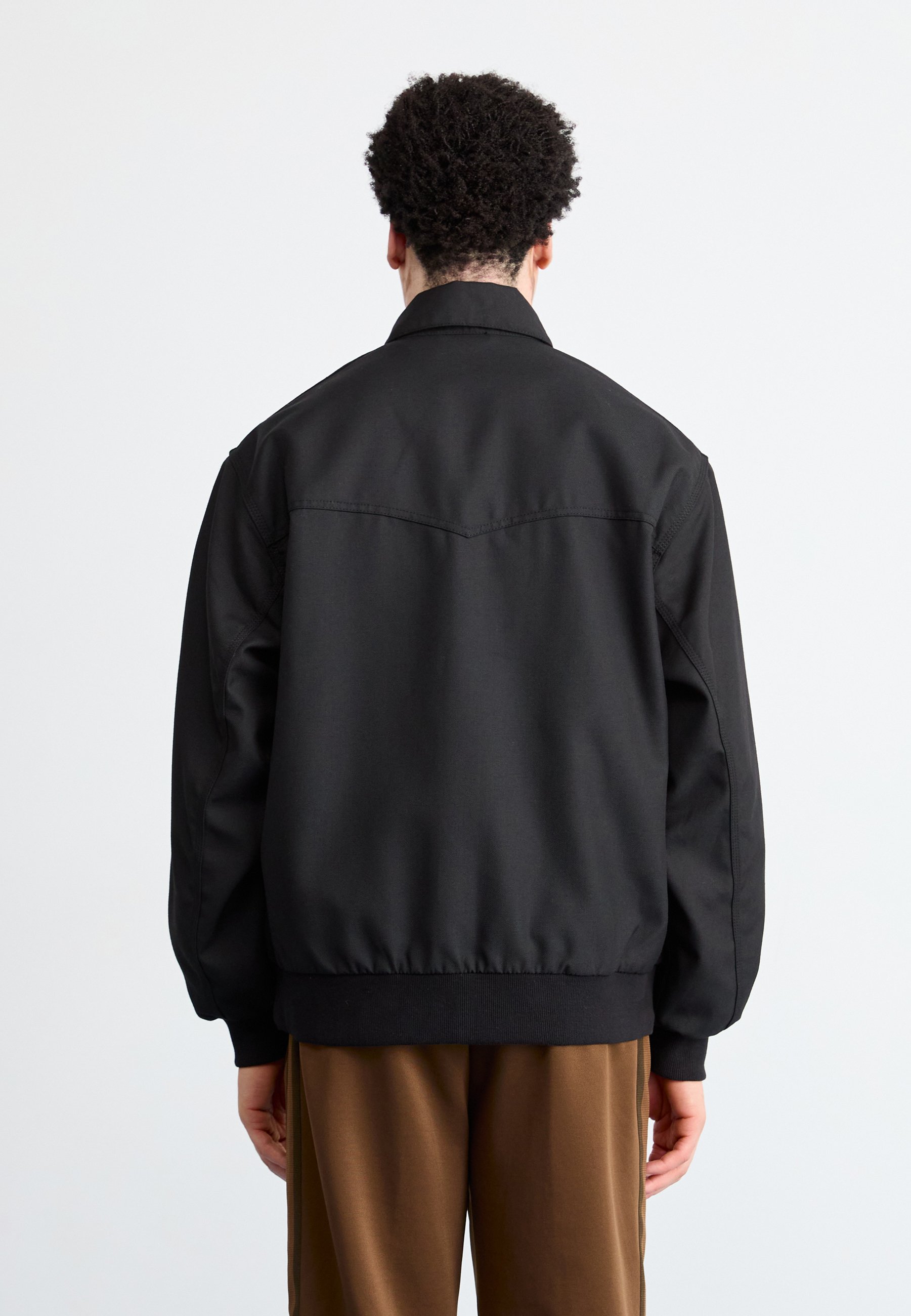 Carhartt WIP RAY JACKET - Bomber Jacket - black rigid/black