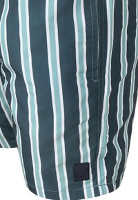Heren zwembroek met verticale teal en witte strepen, gemaakt van lichtgewicht stof, met een patchlogo en zijzakdetails.