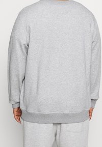 Felpa grigia in cotone con maniche lunghe, polsini e orlo a coste, e una vestibilità morbida. Tessuto semplice, senza motivi o grafiche visibili.