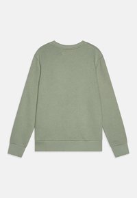 Sudadera verde clara hecha de tela suave, con un cuello redondo y puños de canalé. La parte posterior es lisa, sin marcas ni patrones visibles.