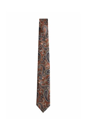Brown necktie with dark blue and beige paisley floral patterns on a solid background.