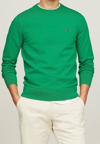 Pull vert à col ras du cou en tissu tricoté lisse, avec des poignets et un ourlet côtelés, orné d'un petit logo sur la poitrine. Associé à un pantalon de couleur claire.