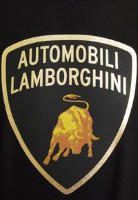 AUTOMOBILI LAMBORGHINI Mikina - black