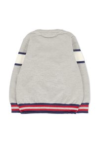 Maglione grigio lavorato a maglia, con polsini e orlo a costine. Accentuato da righe blu navy e rosse sulle maniche e sul bordo inferiore.