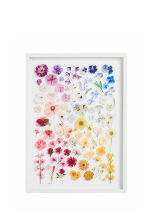 Fiori pressati di vari colori, tra cui rosa, rosso, giallo, blu e viola, disposti in una cornice bianca su sfondo bianco.