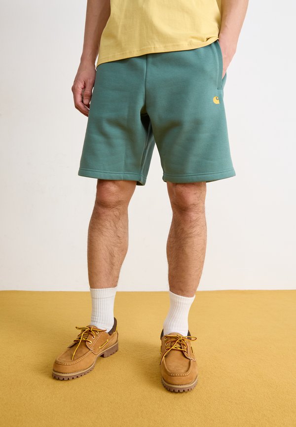 CHASE - Tracksuit bottoms - silver pine