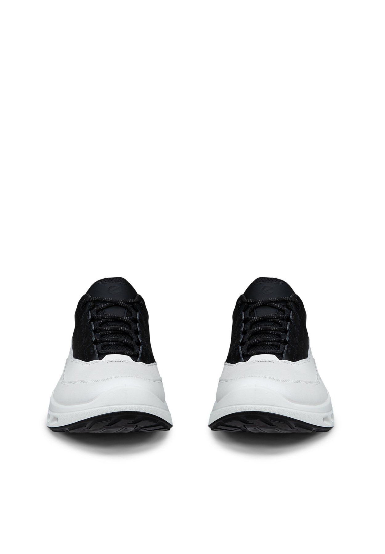 BIOM 720