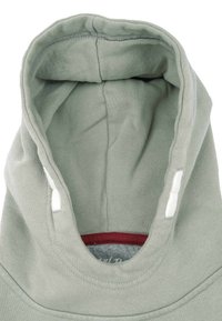 Felpa verde chiaro con cappuccio foderato, caratterizzata da una texture liscia, cordini regolabili e un colore interno bordeaux.